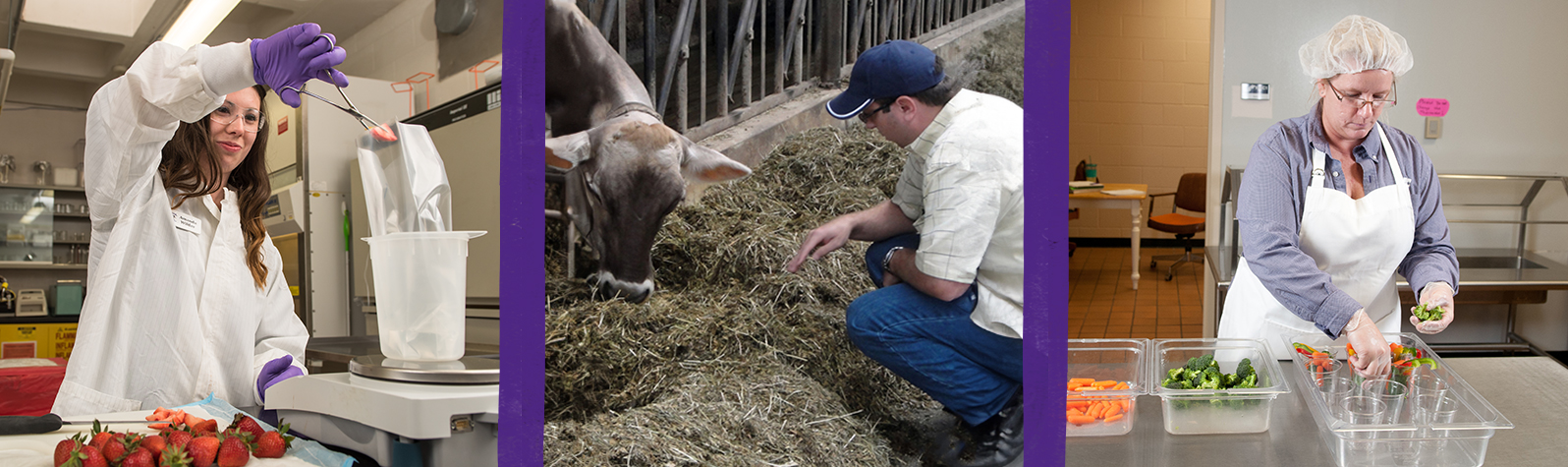 Online Agriculture Degrees Banner