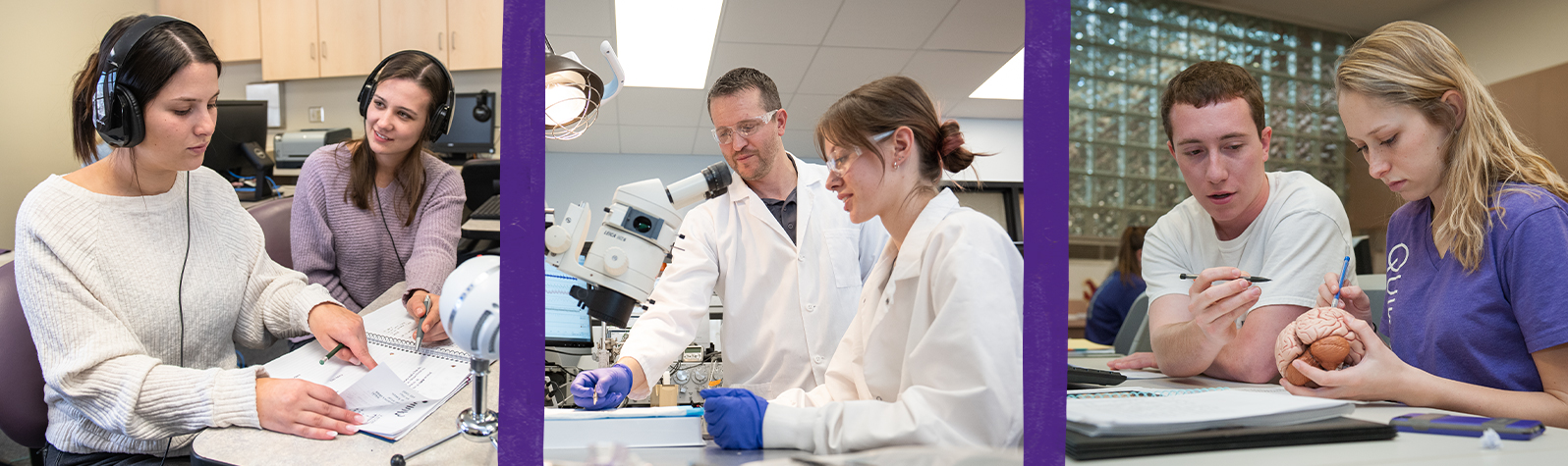 Online Human Services Degree